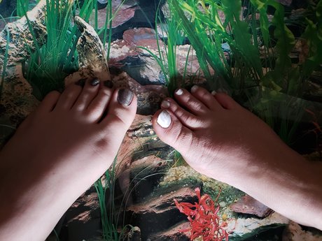 Yin1234 porn onlyfans