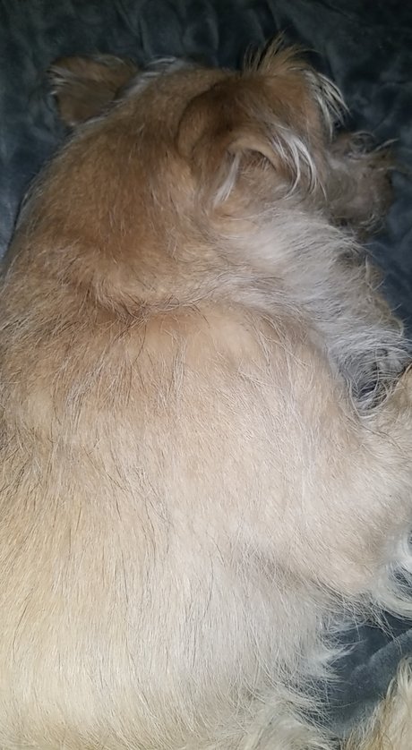 Allyson Watkins only fans nudes