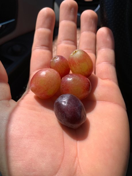 Stumbling Sailor onlyfans porn nude