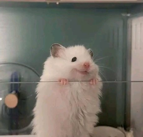 Lira Morrison new onlyfans