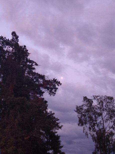 El curioso naked onlyfans