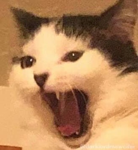 Mr Peach onlyfans exposed