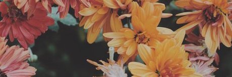 Abdul El Sahili_ xxx onlyfans