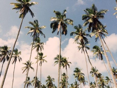 Luca B nsfw onlyfans