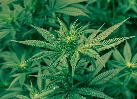 Whole Lotta Babee onlyfans photo