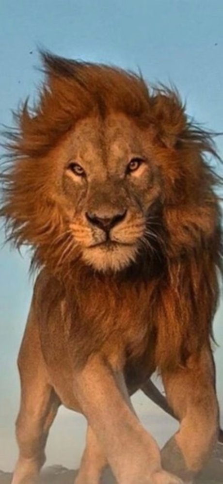 Lionel77 only fans pic