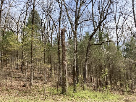 Top of the Ozarks onlyfans nude leaks