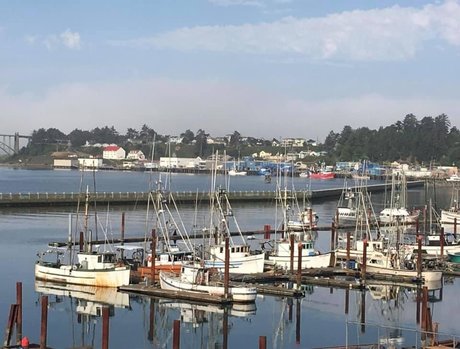 MyMichelle onlyfans star