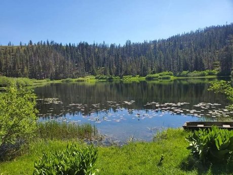 Brandi Benz onlyfans leaked sex