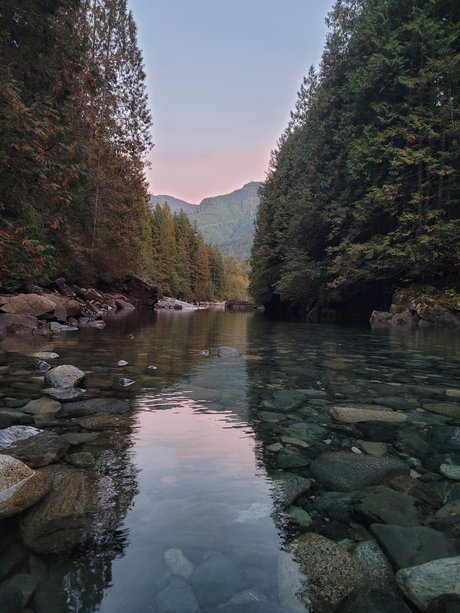 Purplefirefly onlyfans naked leak