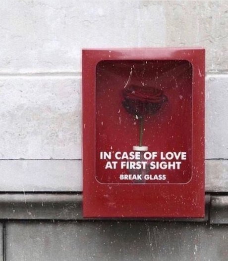 Nicu Iulian onlyfans leakes