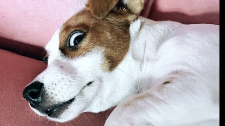 Winyl leaked onlyfans photos