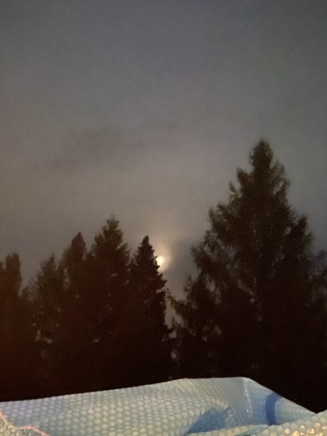 Dial A Doll naked onlyfans pics