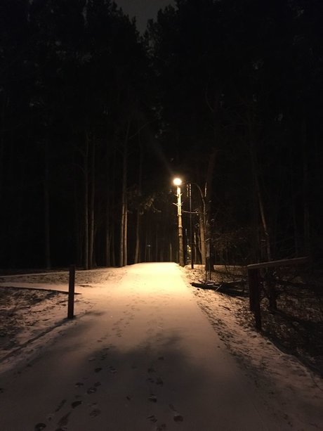 Elyse onlyfans porn nude