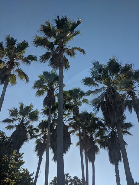 Laetitia_ leaked onlyfans