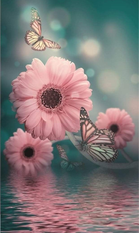 Eryka Ka h_ only fans nude