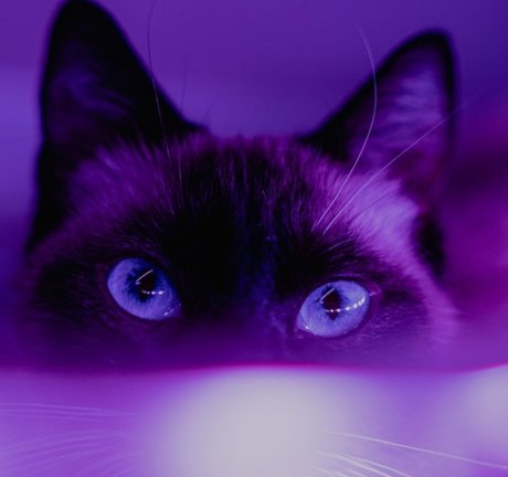 Mz Stevie leaks onlyfans