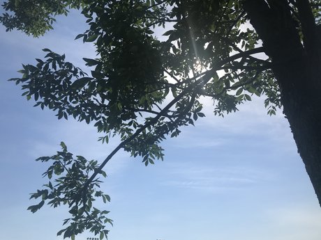 kevy onlyfans nudes porn