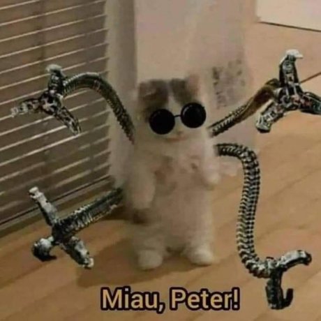 u63856170 onlyfans leaks nude