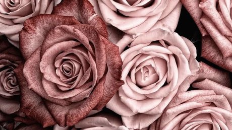 JordieGurl onlyfans model photo