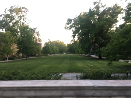 Olivia Laa onlyfans topless