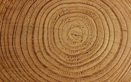 Beefstrokem off onlyfans nide