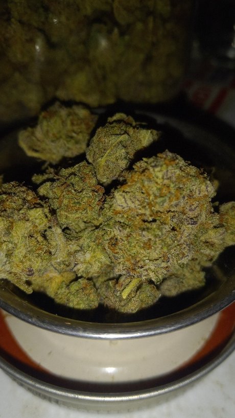 Donalddigbick new onlyfans leak