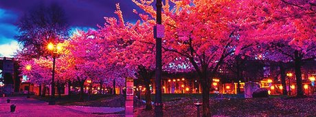 Duncan CM onlyfans naked