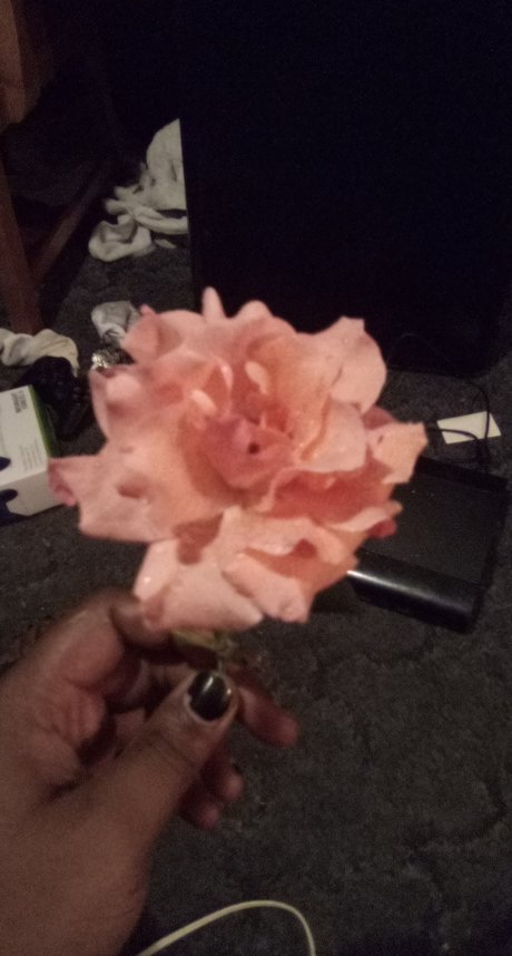 Darius Blue onlyfans model