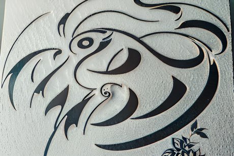 Ferrisss onlyfans leak nudes