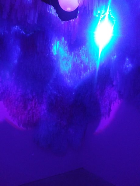 Dakawaiiest Alien onlyfans posts