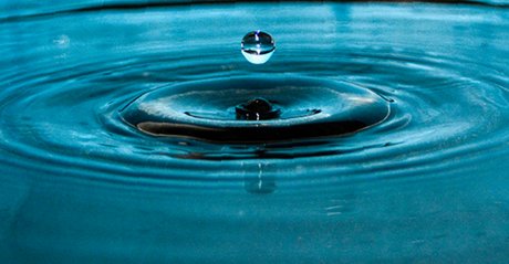 Thunder Thighz onlyfans pics