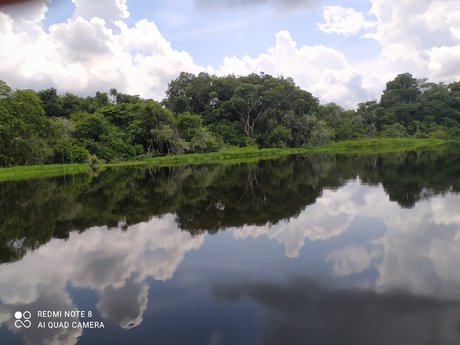 Alvaro Suarez onlyfans leaked sex