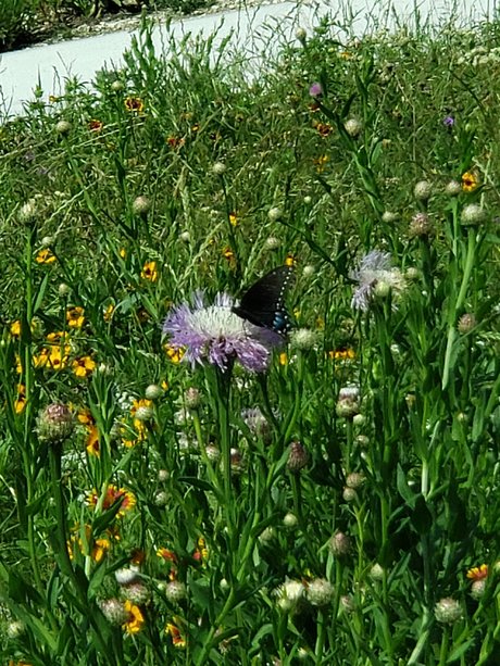 Jo Brite onlyfans leams