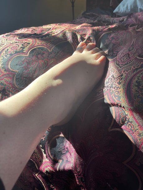 CamelToes onlyfans leakd