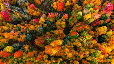 The Couple Next Door onlyfans leak