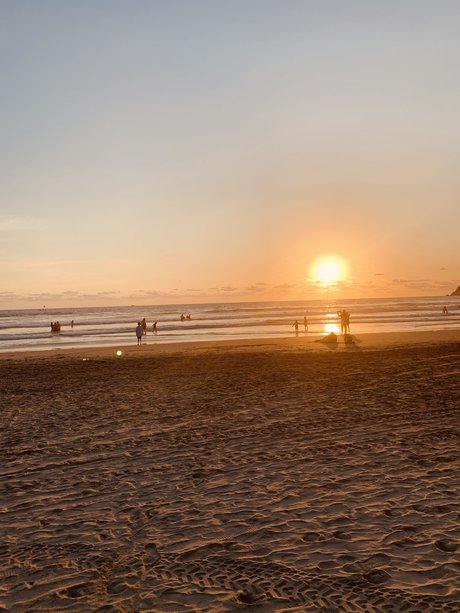 PamegaMex1 onlyfans leaks nude