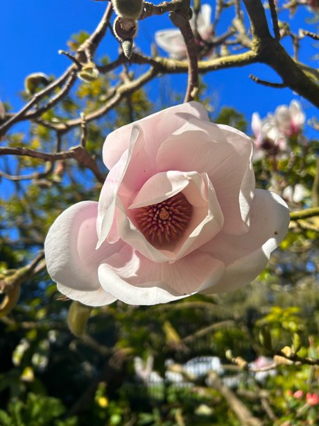 Jayla Sweet onlyfans nudes leak