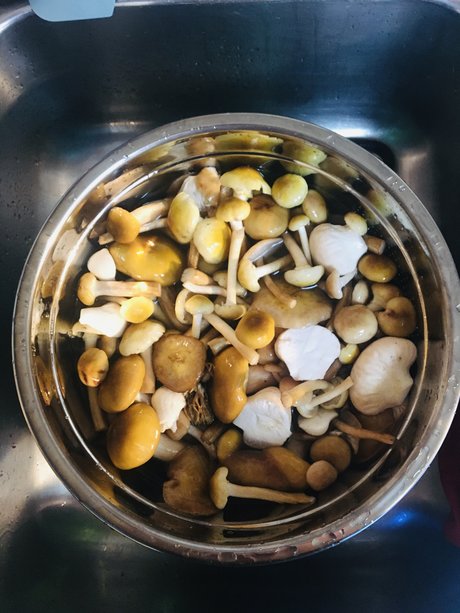 Too Many Potatos onlyfans nudes