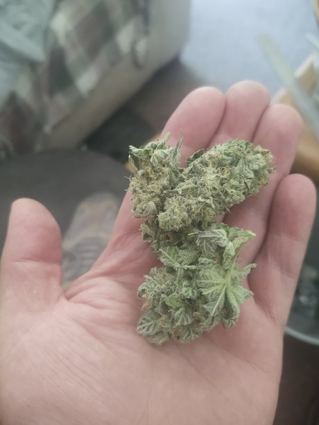 Jeff 0h nude onlyfans porn