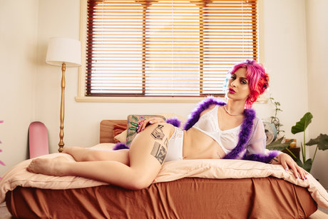 Nova Zone porn onlyfans