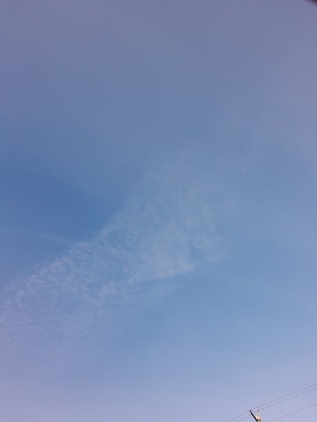 David Wilson topless onlyfans