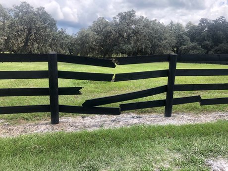 MACAROOT MIKE S BJS FREE onlyfans naked leaks