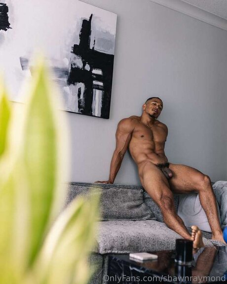 TheShawnRaymond onlyfans leaked