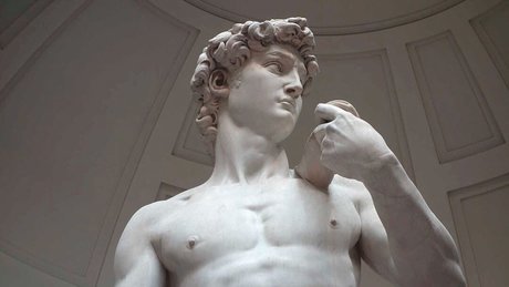 ToriXL onlyfans free