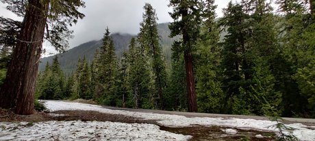 Divine Goddess PNW onlyfans leaks