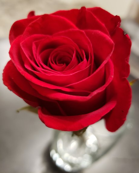 Micki Rayne hot onlyfans