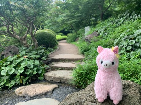 _Mai Hakoiri onlyfans.