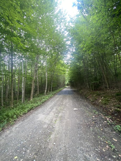 Heroe perdido9 onlyfans sex