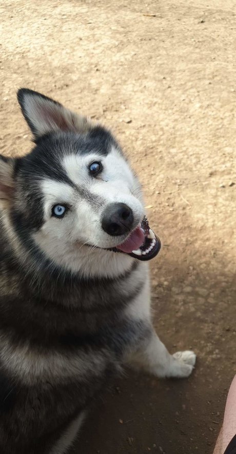 TIMEOUT TUX_ leaked onlyfans porn